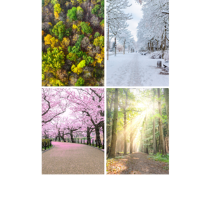 four seasons