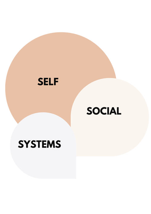 SYSTEMS (1)